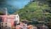 Terraced vineyards on a hillside near a small village in Cinque Terre, Italy. - Olive Oil Times