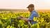 Elderly man wearing a cap and blue shirt tending to grapevines in a vineyard during sunset. - Olive Oil Times