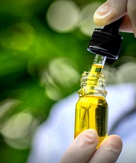 Person holding a dropper above a glass bottle filled with yellow oil. - Olive Oil Times