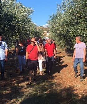 A group of people walking through an olive grove with trees on either side. - Olive Oil Times