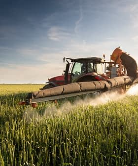 Red tractor applying pesticide in a wheat field under a clear sky. - Olive Oil Times