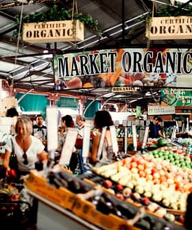 Sign that reads 'Market Organics' in a busy farmer's market with various organic produce displayed. - Olive Oil Times