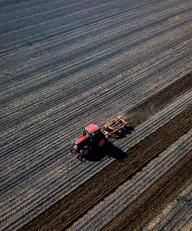 Red tractor tilling soil in a large agricultural field with distinct rows. - Olive Oil Times