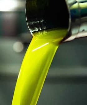 Golden green olive oil pouring from a metal spout in a production facility. - Olive Oil Times