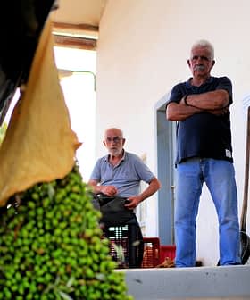 Four men observing the process of olive extraction in an indoor setting. - Olive Oil Times