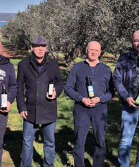 Four men standing in an olive grove, each holding a bottle of olive oil. - Olive Oil Times