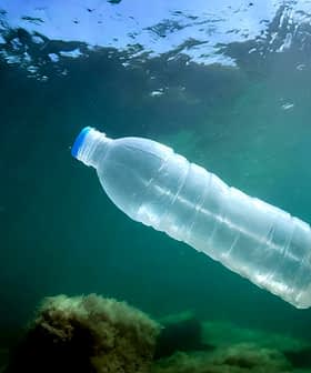 Clear plastic water bottle floating underwater with sunlight filtering through the surface. - Olive Oil Times