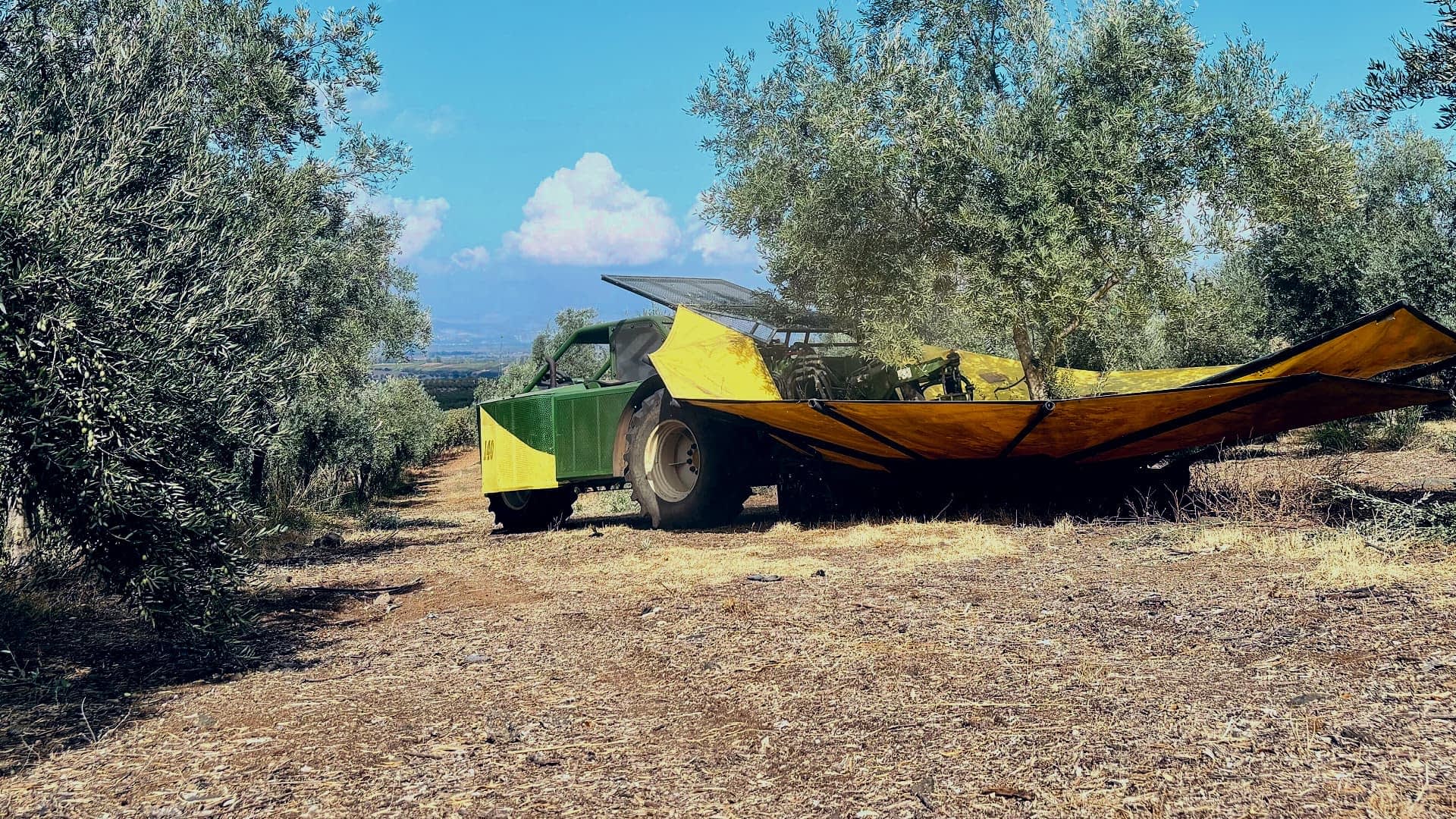 Olive harvesting machine with a yellow and green cover parked in an olive grove. - Olive Oil Times