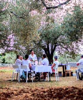 Group of people dining at tables set under olive trees in an outdoor setting. - Olive Oil Times