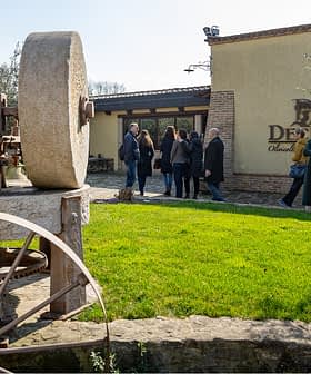 Old stone olive oil pressing equipment displayed outdoors near a building with visitors observing. - Olive Oil Times