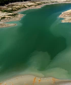 Aerial view of a calm water body with varying shades of green and blue. - Olive Oil Times
