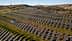 Aerial view of solar panels arranged in rows on a hillside with wind turbines in the background. - Olive Oil Times