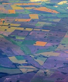 Aerial view showing patchwork of agricultural fields in various colors and patterns. - Olive Oil Times