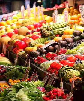 Colorful display of fresh fruits and vegetables arranged at a market stall. - Olive Oil Times