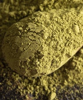 Green powdered substance on a wooden spoon, with loose powder scattered around. - Olive Oil Times