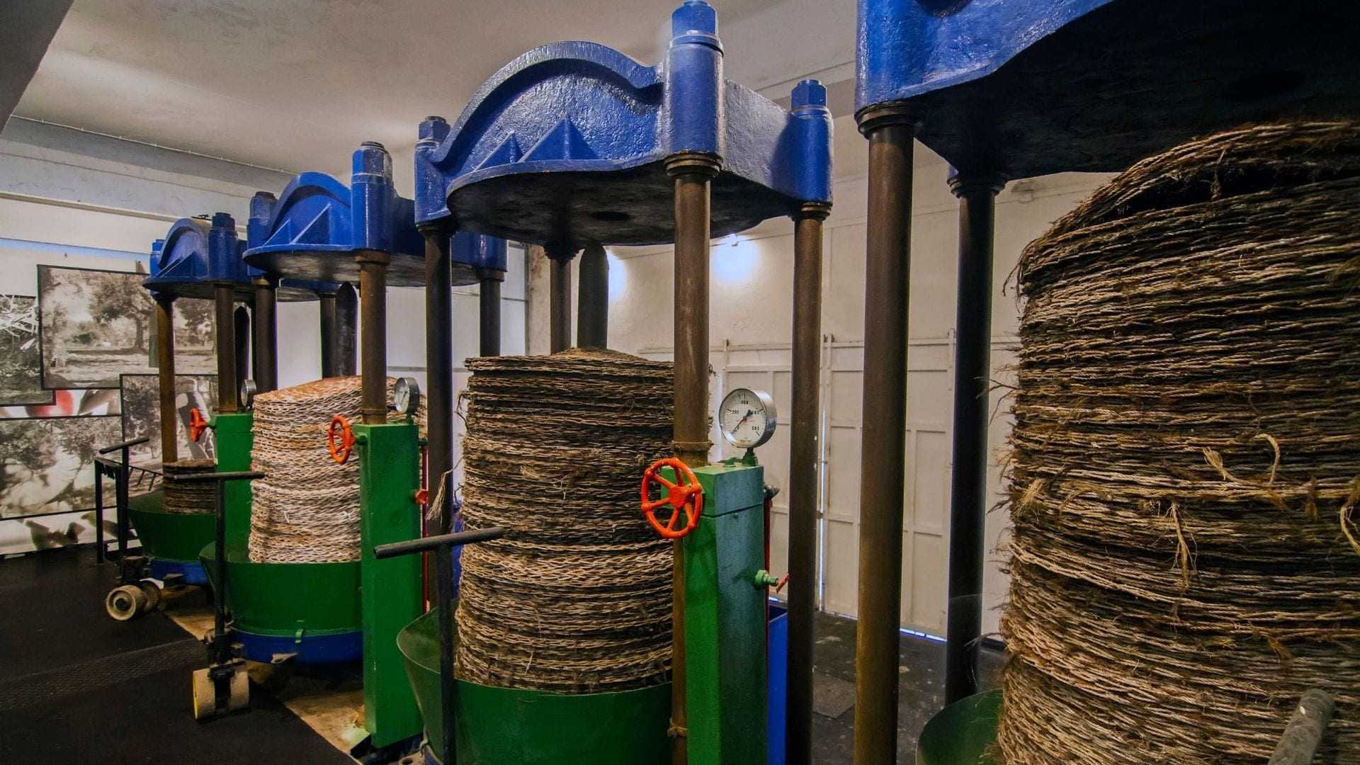 Four traditional oil press machines with stacked materials and pressure gauges in a processing facility. - Olive Oil Times